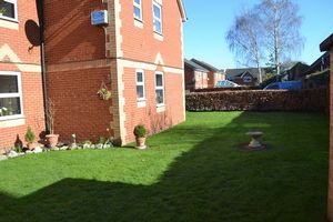 Communal Gardens- click for photo gallery